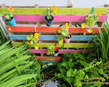 Alternative text should describe the visual content of the image.