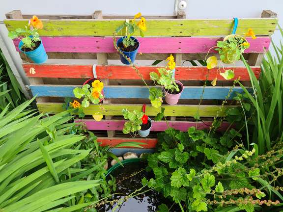 Alternative text should describe the visual content of the image.