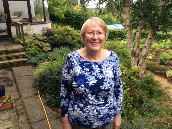 Alternative text should describe the visual content of the image.