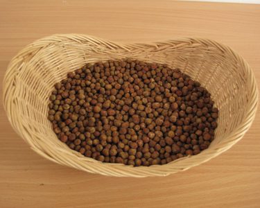 Alternative text should describe the visual content of the image.