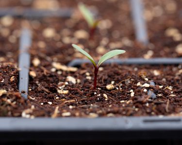 Alternative text should describe the visual content of the image.