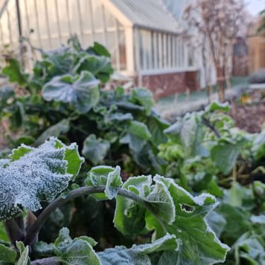 Alternative text should describe the visual content of the image.