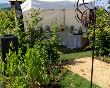 Alternative text should describe the visual content of the image.