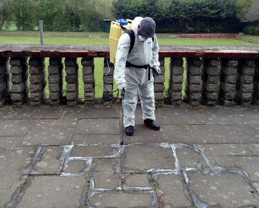 Alternative text should describe the visual content of the image.