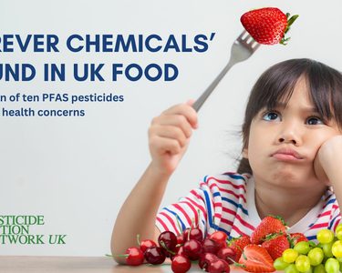 Alternative text should describe the visual content of the image.