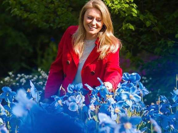 Alternative text should describe the visual content of the image.