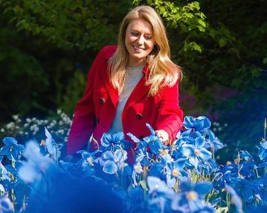 Alternative text should describe the visual content of the image.