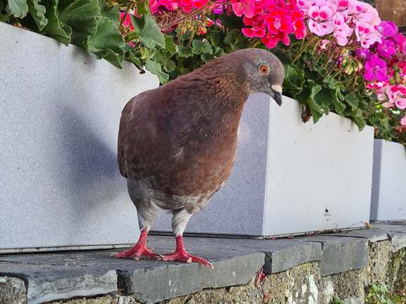 Alternative text should describe the visual content of the image.