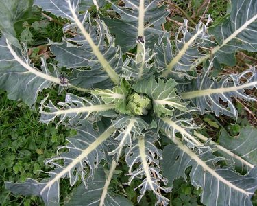 Alternative text should describe the visual content of the image.