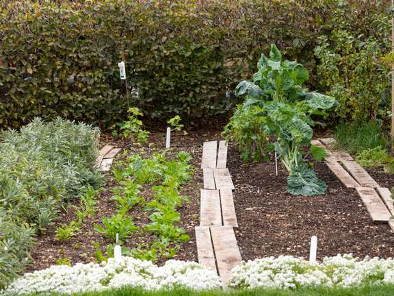 Alternative text should describe the visual content of the image.