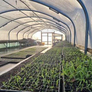 Alternative text should describe the visual content of the image.