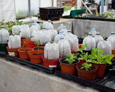 Alternative text should describe the visual content of the image.