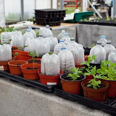 Alternative text should describe the visual content of the image.