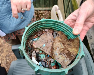 Alternative text should describe the visual content of the image.