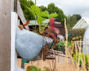 Alternative text should describe the visual content of the image.