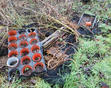 Alternative text should describe the visual content of the image.