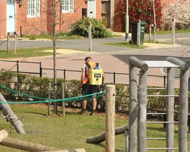 Alternative text should describe the visual content of the image.