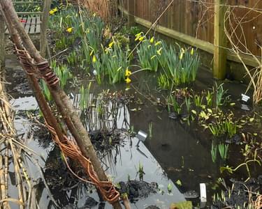 Alternative text should describe the visual content of the image.