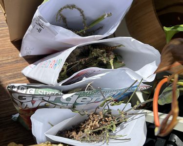 Alternative text should describe the visual content of the image.