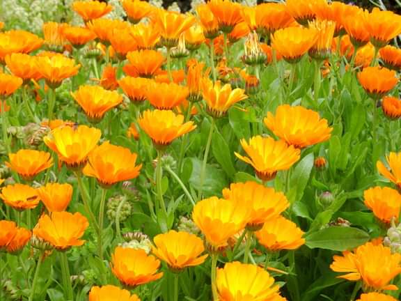 Alternative text should describe the visual content of the image.