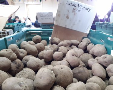 Alternative text should describe the visual content of the image.