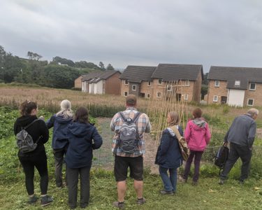 Alternative text should describe the visual content of the image.