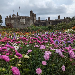 Alternative text should describe the visual content of the image.