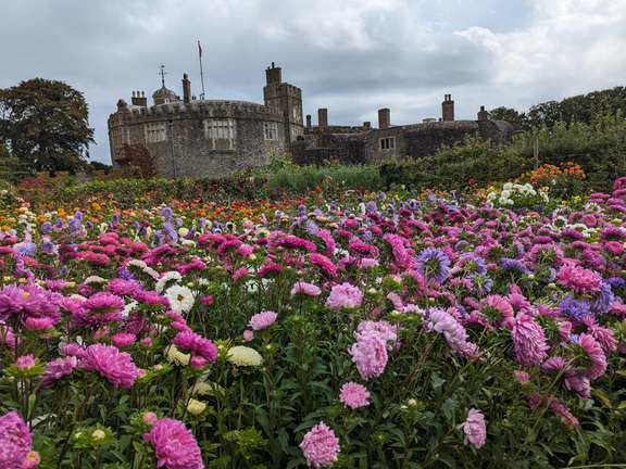 Alternative text should describe the visual content of the image.