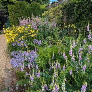 Alternative text should describe the visual content of the image.