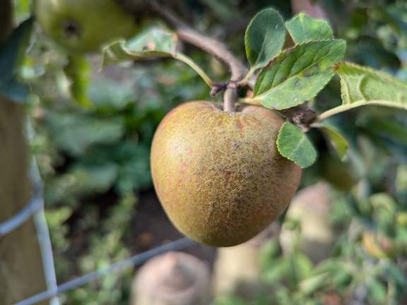 Alternative text should describe the visual content of the image.