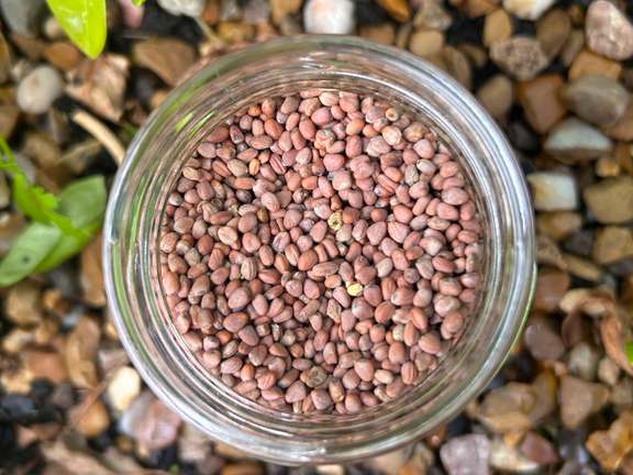 Alternative text should describe the visual content of the image.