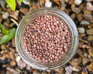 Alternative text should describe the visual content of the image.