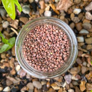 Alternative text should describe the visual content of the image.