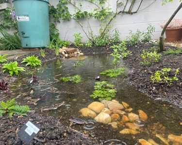 Alternative text should describe the visual content of the image.