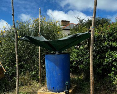 Alternative text should describe the visual content of the image.