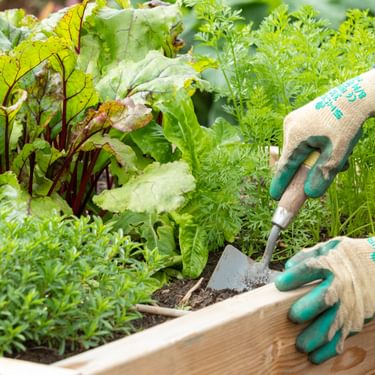 Alternative text should describe the visual content of the image.