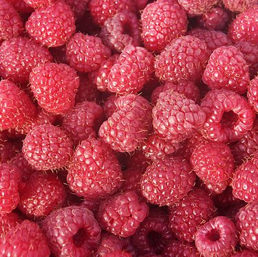 Collection of raspberries