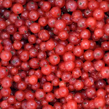 redcurrants
