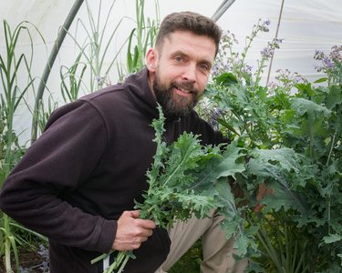 Alternative text should describe the visual content of the image.