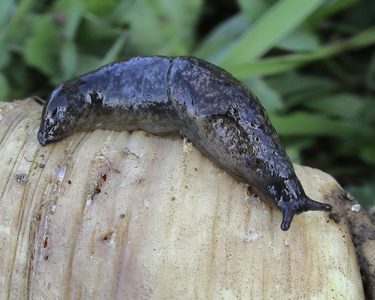 Alternative text should describe the visual content of the image.