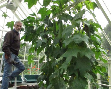 Alternative text should describe the visual content of the image.