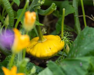 Alternative text should describe the visual content of the image.