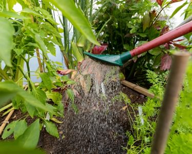 Alternative text should describe the visual content of the image.