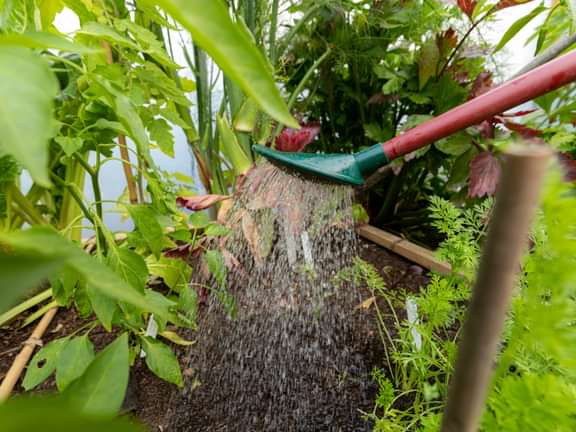 Alternative text should describe the visual content of the image.