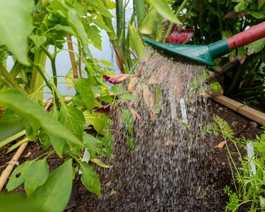 Alternative text should describe the visual content of the image.