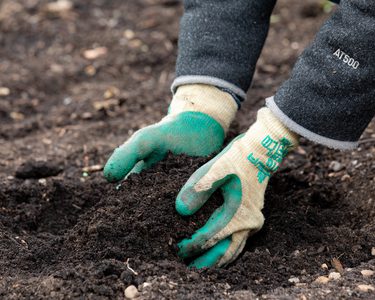 Alternative text should describe the visual content of the image.