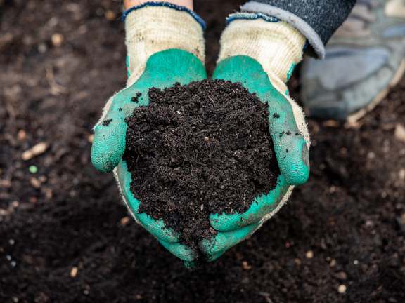 Alternative text should describe the visual content of the image.