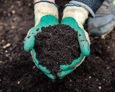 Alternative text should describe the visual content of the image.