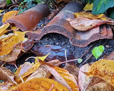 Alternative text should describe the visual content of the image.