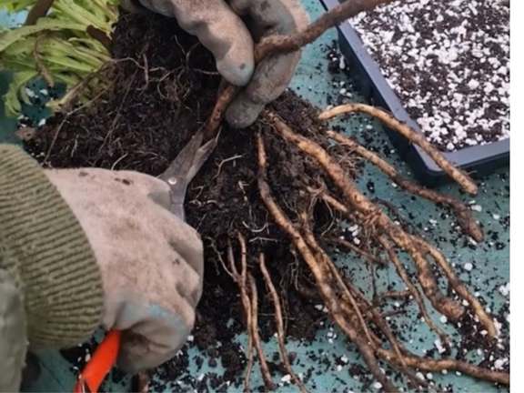 Alternative text should describe the visual content of the image.